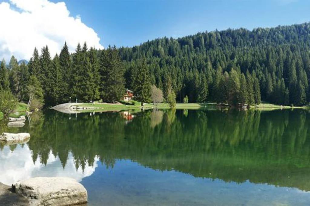베르미글리오 Chalet Rustico Bertolini Per Gruppi! 빌라 외부 사진